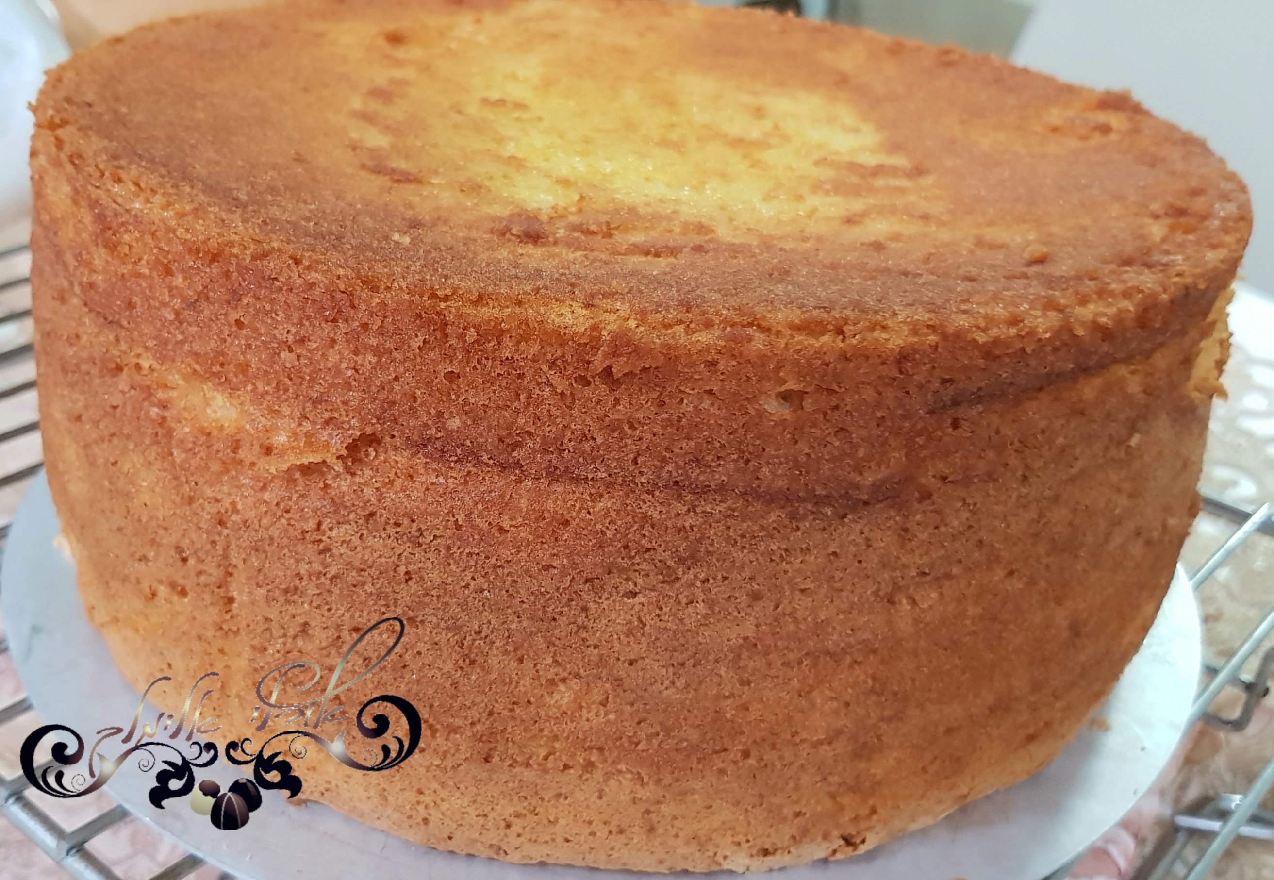 מושלםםםם❤❤