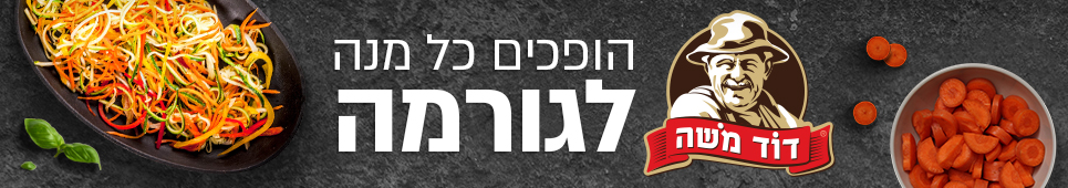 באנר דוד משה