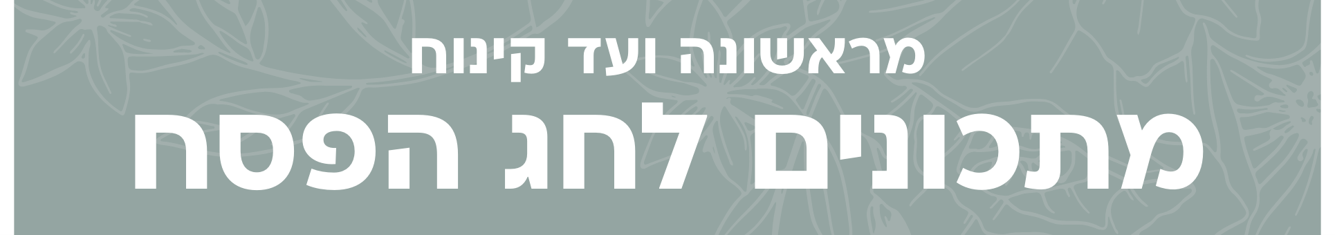 באנר מתחם פסח 2026 דסקטופ
