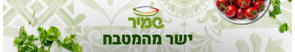 שמיר באנר דסקטופ